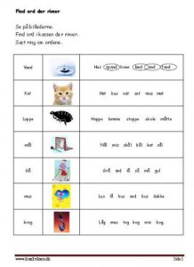 Elevopgave med rimord.