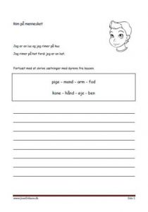 Elevopgave med rimord. Mennesket.