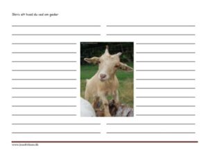 Skriv alt hvad du ved om geder. Skriveark til faglitteratur.