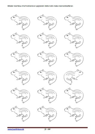 Billeder med fokus. maleopgave til undervisning i Billedkunst og til temaerne Pattedyr og zoologisk have.