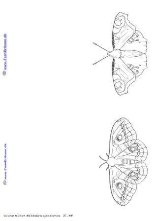 Kort med sommerfugle til at male. Kan bruges i undervisningen til temaet sommerfugle, insekter og sommer.
