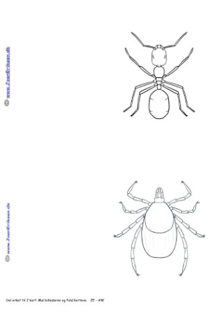 Kort med sommerfugle til at male. Kan bruges i undervisningen til temaet insekter og sommer.