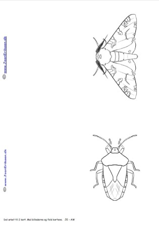 Kort med sommerfugle til at male. Kan bruges i undervisningen til temaet insekter og sommer.