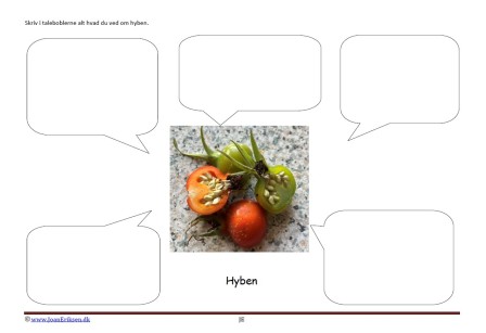 Skriv i talebobler om hyben bær og roser til undervisningen i temaerne skoven, blomster, sommer og frugt og grønt.
