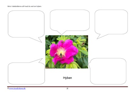 Skriv i talebobler om hyben bær og roser til undervisningen i temaerne skoven, blomster, sommer og frugt og grønt.