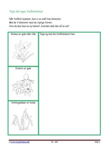 Elevopgave med design. Forår. Blomst