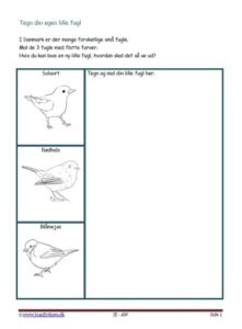 Elevopgave med design. Fugl