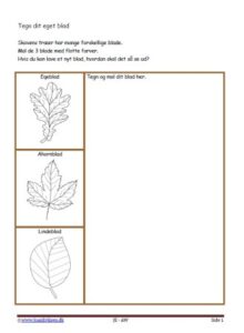 Elevopgave med design. Blad