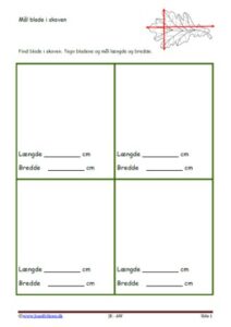 Elevopgaver med forskellige måder at måle blade i skoven.