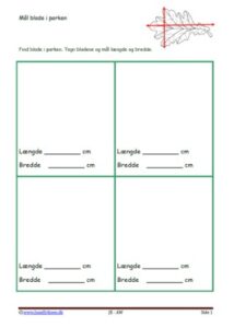 Elevopgaver med forskellige måder at måle blade i parken.