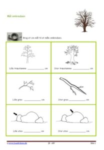 Elevopgaver med forskellige måder at måle ting i skoven.