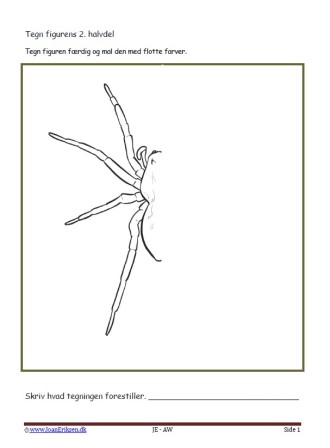 Undervisningsopgaver med spejling. Tegn den anden halvdel. Edderkop