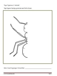 Undervisningsopgaver med spejling. Tegn den anden halvdel. Myre